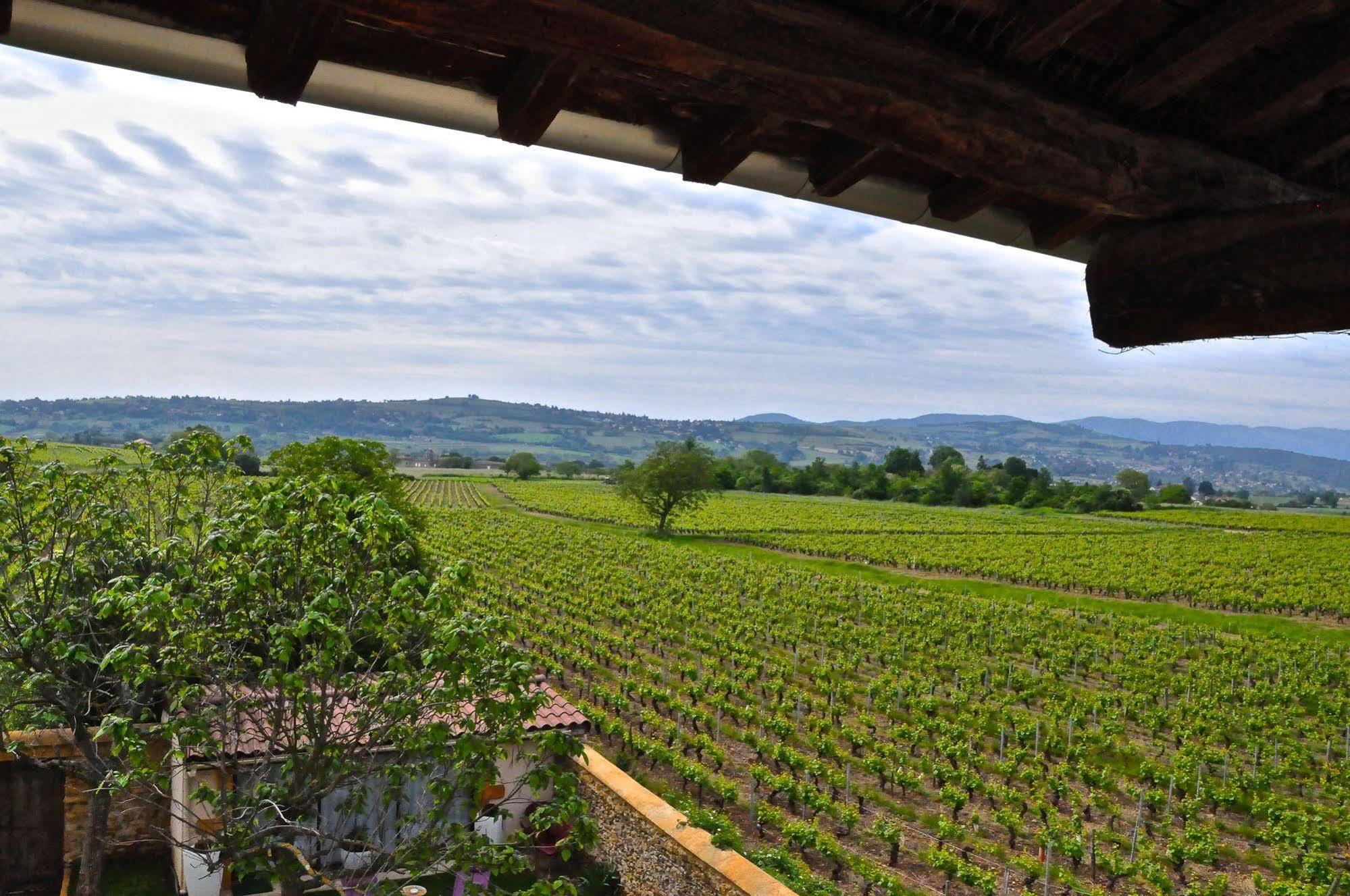 Le Clos Du Cher En Beaujolais Saint-Germain-Nuelles 외부 사진