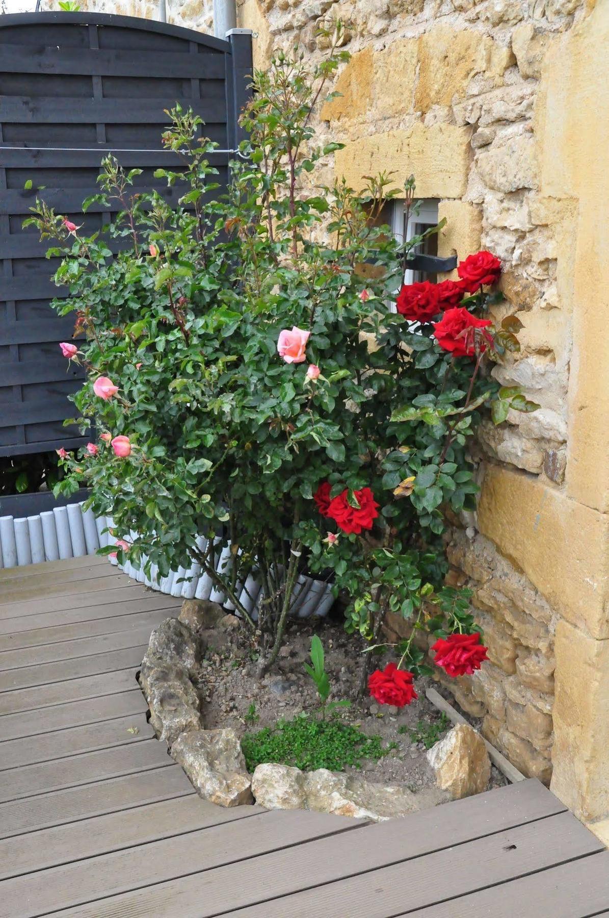 Le Clos Du Cher En Beaujolais Saint-Germain-Nuelles 외부 사진