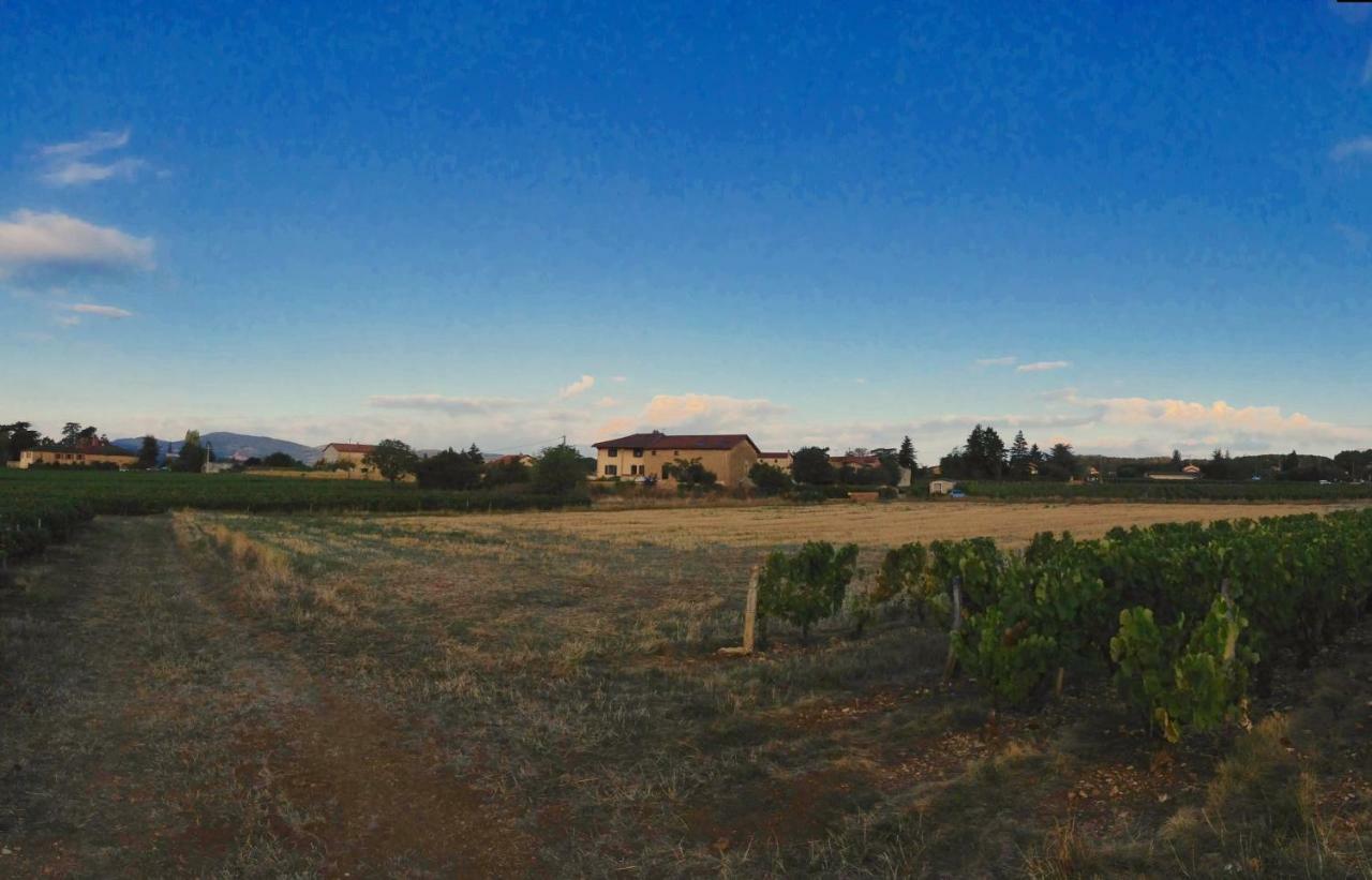Le Clos Du Cher En Beaujolais Saint-Germain-Nuelles 외부 사진