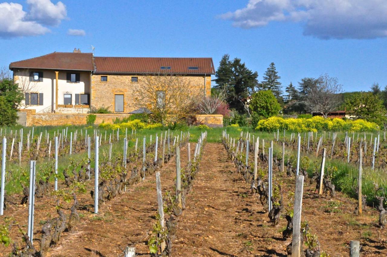 Le Clos Du Cher En Beaujolais Saint-Germain-Nuelles 외부 사진